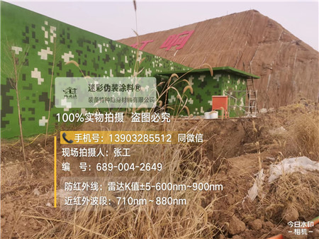 东营星空迷彩墙施工队