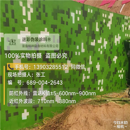 东营星空迷彩漆，夏令营训练,数码迷彩作训墙,围墙